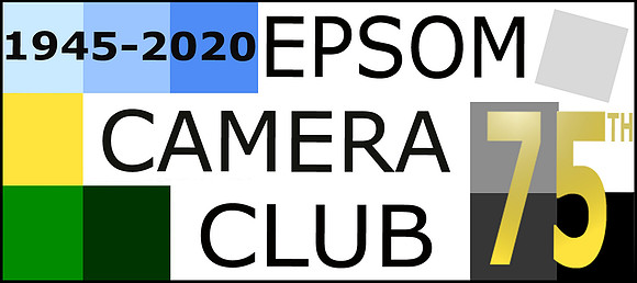 New logo 2