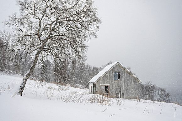 Nicky Rochussen_The Little Wooden House in Falling Snow