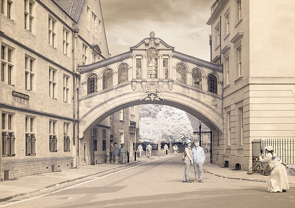 Rosemary Wilman _The Photographer's Pose, Oxford