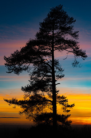 Chris Walker_Sunset at Leith Hill