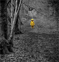 Peter Stott_Lost