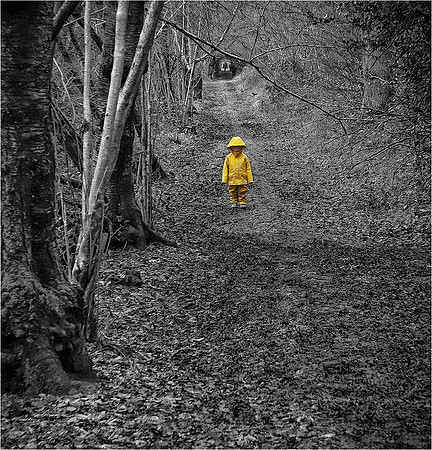 Peter Stott_Lost