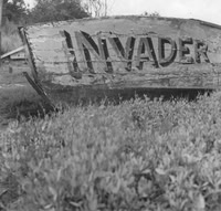 Matthew Leitch_Invader
