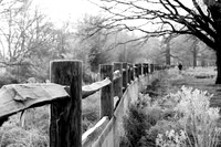 Sheena Gordon_Winter morning walk