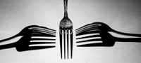 David Zinzan_High key fork shadows_Advanced Class