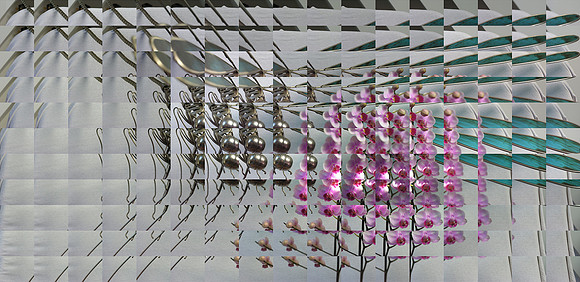 Jonathan Tuppeny_Steel Dragonfly and Orchid_Club Class