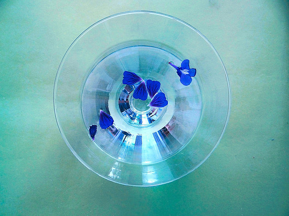 Sarah Watkins_Floating petals in a glass bowl_Club Class