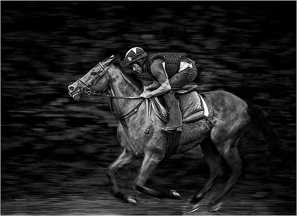 Sterlin Navamani_Sand Gallop