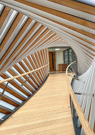 Sterlin Navamani_Bridge of Aspiration