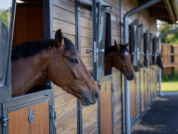 Mark Mott_At The Stables