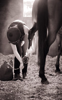 Mark Mott_Working On The Horses Hooves