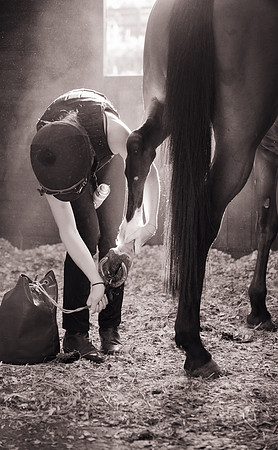 Mark Mott_Working On The Horses Hooves