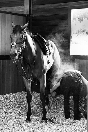 Sheena Gordon_After the ride