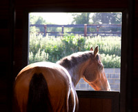 Sheena Gordon_Room with a view