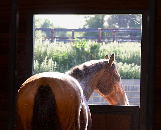 Sheena Gordon_Room with a view