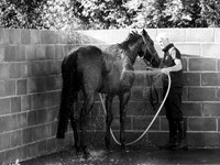 Sheena Gordon_Wash down