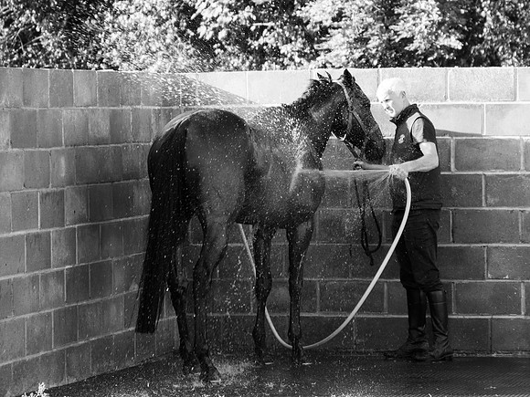 Sheena Gordon_Wash down