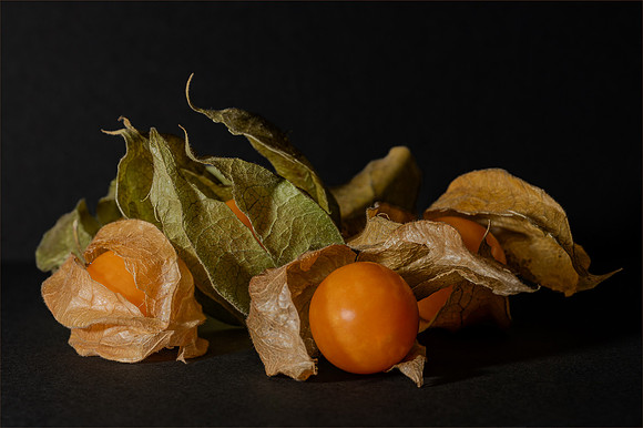 Kirsty Ankiewicz_Gooseberry Still-life