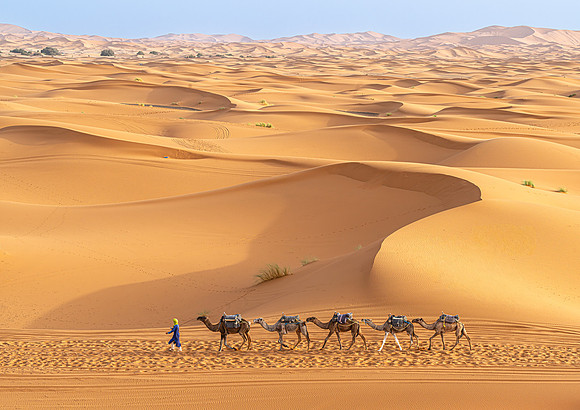 Gillian Tiplady_Dune Journeys