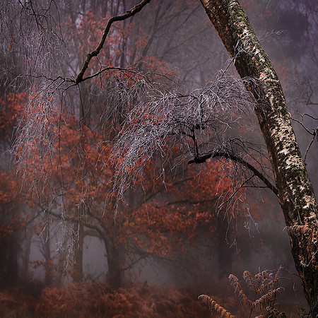 Peter Stott_Icy Fingers