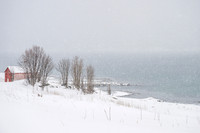 Nicky Rochussen_Blizzard in Senja