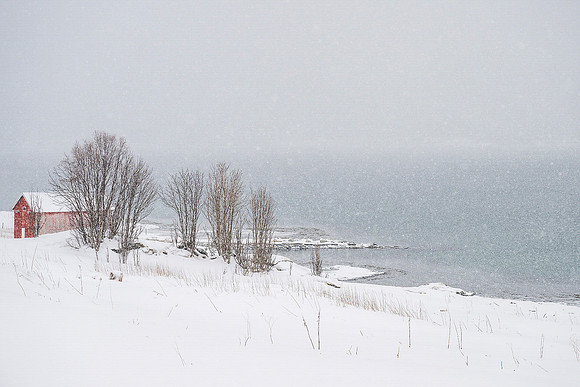 Nicky Rochussen_Blizzard in Senja