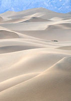 Athena Carey_Life Forms - Mesquite Dunes, Death Valley, C