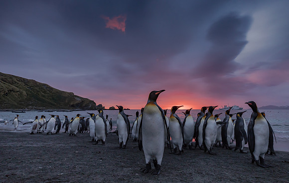 Sunrise at Gold Harbour, South Georgia