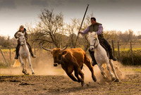 The Roundup