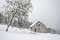 Nicky Rochussen - The little wooden house in falling snow