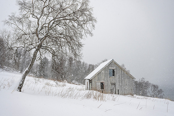 Nicky Rochussen - The little wooden house in falling snow