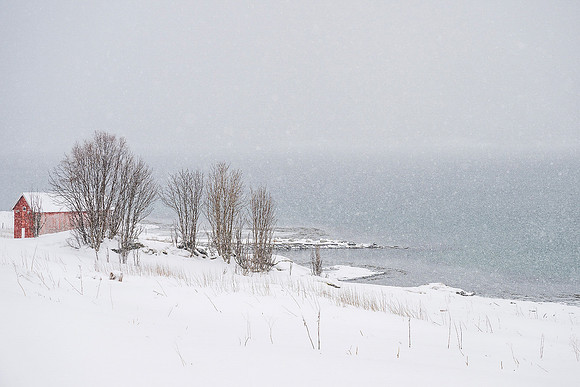 Nicky Rochussen_Blizzard in Senja