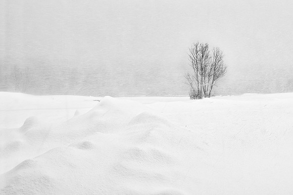 John Atherton_Snowstorm