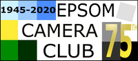 New logo 3